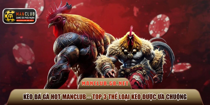 kèo đá gà hot Manclub