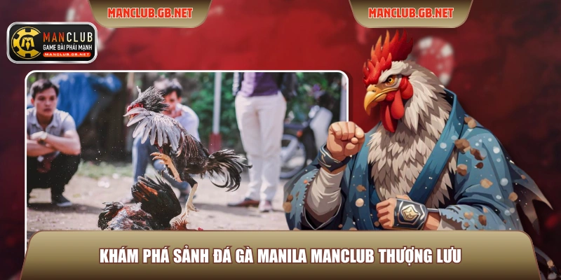 Khám phá sảnh Đá gà Manila Manclub thượng lưu