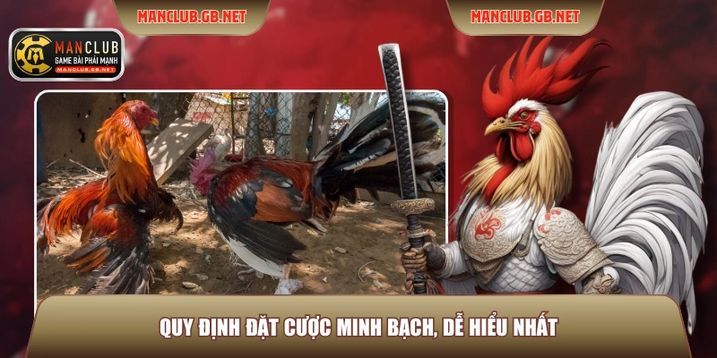 Quy định đặt cược minh bạch, dễ hiểu nhất