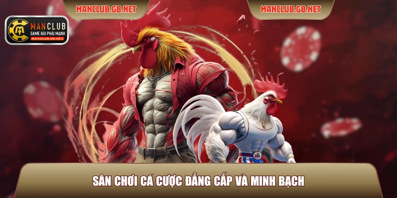 Sân chơi cá cược đẳng cấp và minh bạch