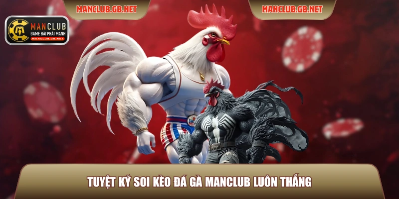 Tuyệt kỹ soi kèo đá gà Manclub luôn thắng
